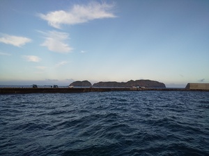 DSC_1017.JPG