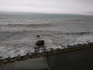 DSC_1040.JPG