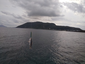 DSC_1232.JPG