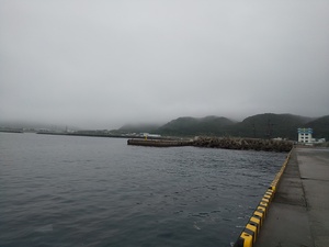 DSC_1406.JPG