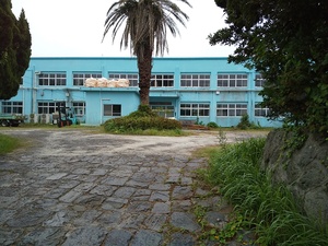 DSC_1411.JPG