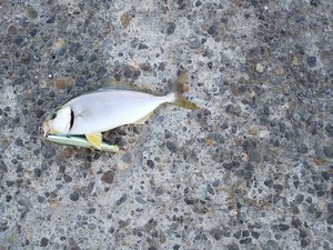 IMG_20210804_103646.jpg