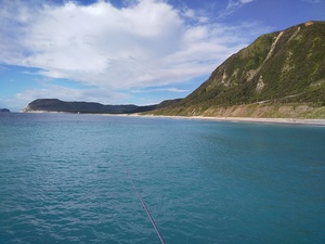 DSC_1586.JPG