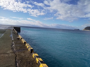 DSC_1587.JPG
