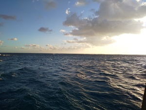 DSC_2159.JPG