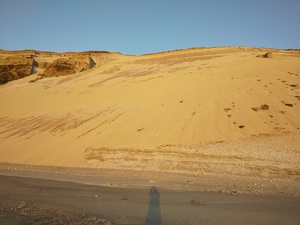DSC_2186.JPG