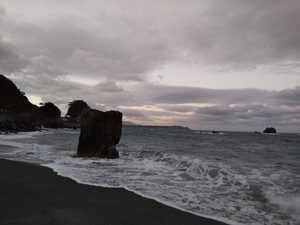 DSC_2242.JPG