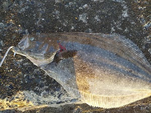 DSC_2289.JPG