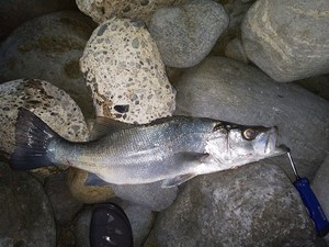 IMG_20211223_085009.jpg