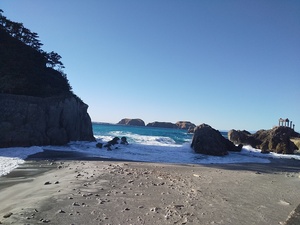 DSC_2382.JPG