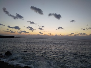 DSC_2451.JPG