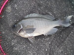 IMG_20220125_091622.jpg