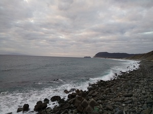 DSC_2499.JPG