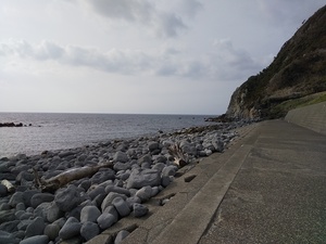 DSC_1935.JPG