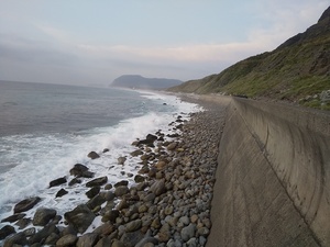 DSC_1988.JPG