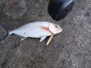 DSC_2667.JPG