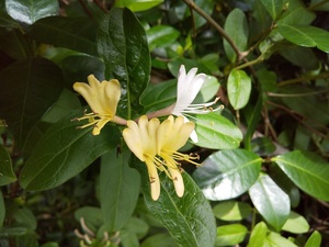 DSC_2701.JPG