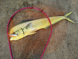 IMG_20220725_083500.jpg