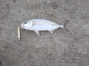 IMG_20220906_104609.jpg