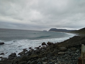 DSC_2030.JPG