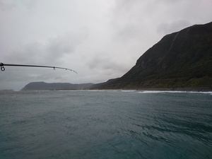 DSC_3293.JPG