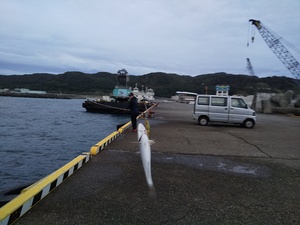 DSC_3339.JPG