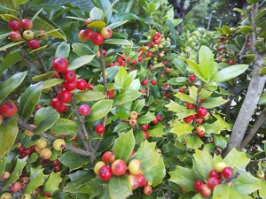 DSC_3342.JPG