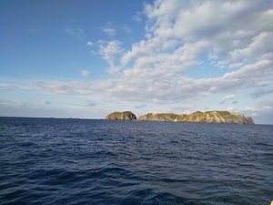 DSC_3408.JPG