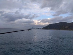 IMG_2022-11-28-15-29-05-413.jpg