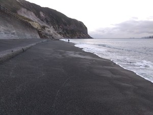IMG_2022-12-03-06-30-59-896.jpg