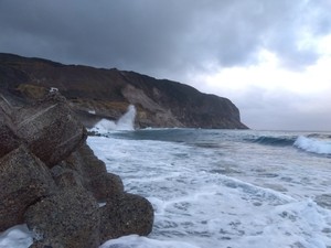 IMG_2023-01-15-07-09-30-309.jpg