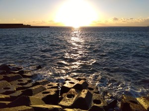 IMG_2023-01-30-07-08-07-650.jpg